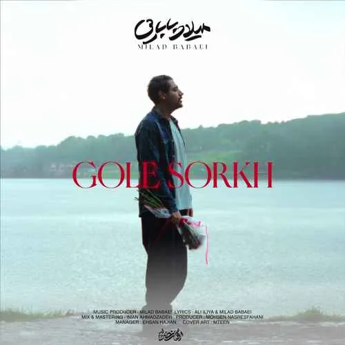 دانلود آهنگ گل سرخ از میلاد بابایی